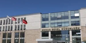 Orman Genel Müdürlüğü